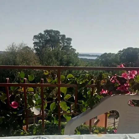 Paradiso * קאלה ליברוטו